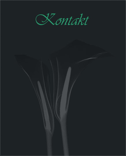 Kontakt